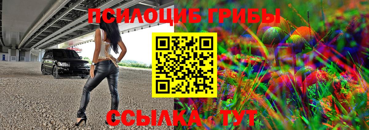 Галлюциногенные грибы Psilocybe Краснодар